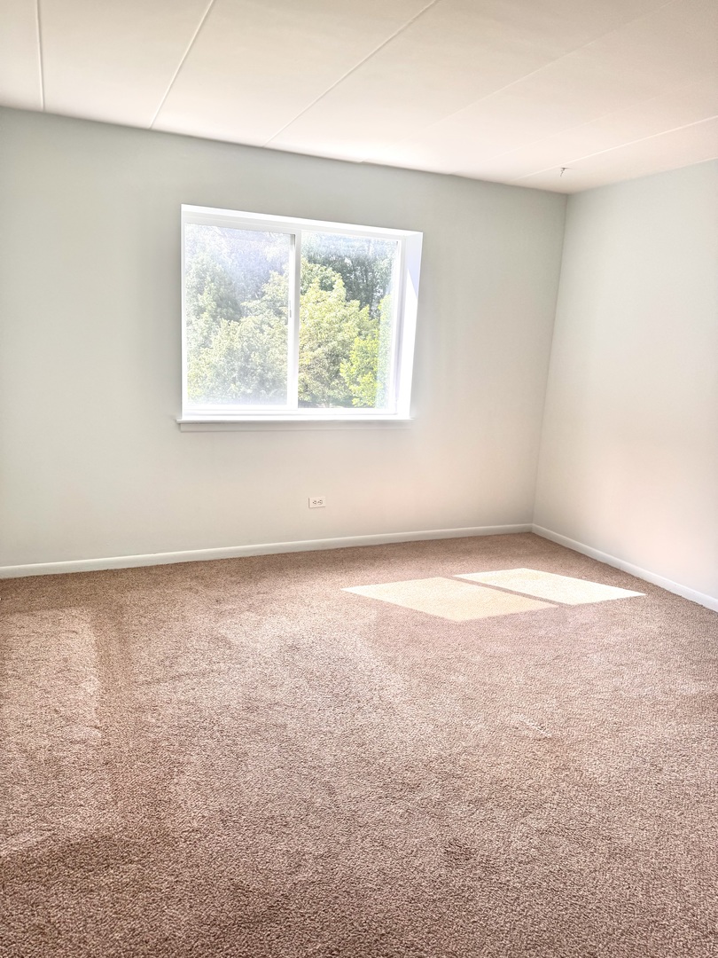 300 South Roselle Road, Unit 309 Schaumburg, IL 60193 - Photo 7 of 19