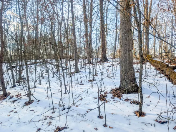$737,000 | 0 County Highway, Unit TRACT #16, Cutler, OH 45724