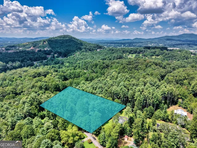 a view of a big yard with potted plants and large tree