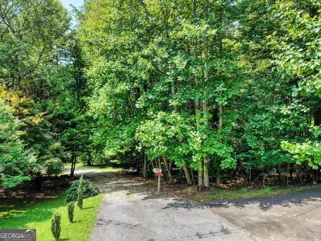 a view of a street with a tree