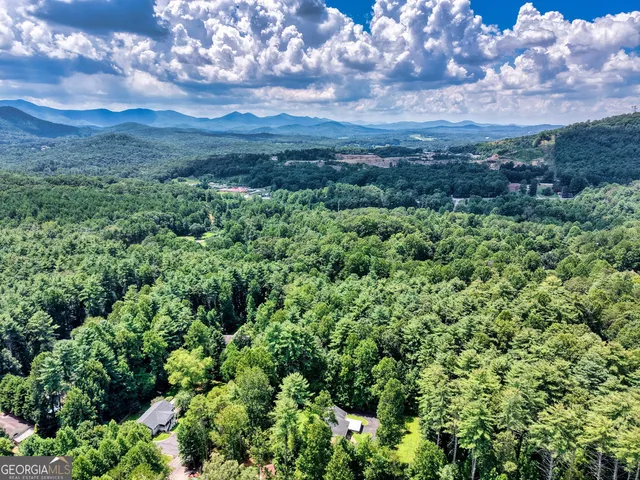 a view of a city with lush green forest