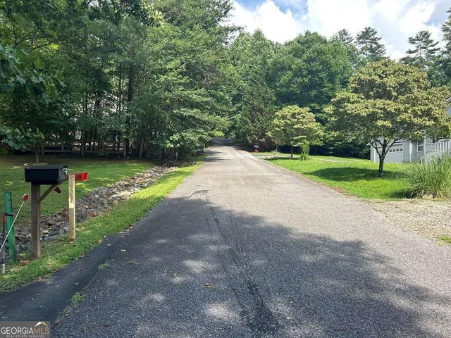 a view of a yard with potted plants and large trees
