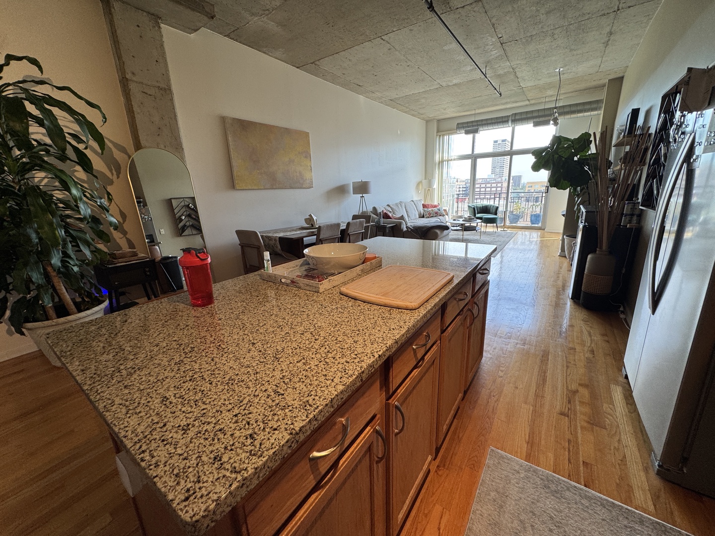 1000 West Adams Street, Unit 810 Chicago, IL 60607 - Photo 7 of 23 Gallery Image 7
