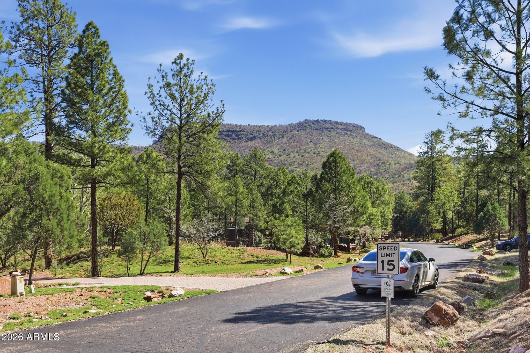 5501 Solitude Trail Loop Pine, AZ 85544 - Photo 5 of 27 Views