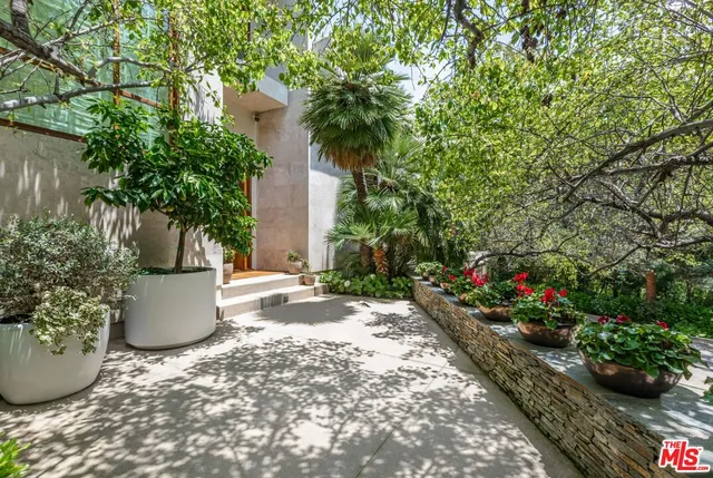a view of a garden with potted plants
