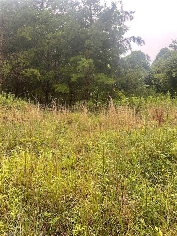 Tbd Windy Ridge Road North Wilkesboro, NC 28659 - Photo 2 of 6 Gallery Image 2
