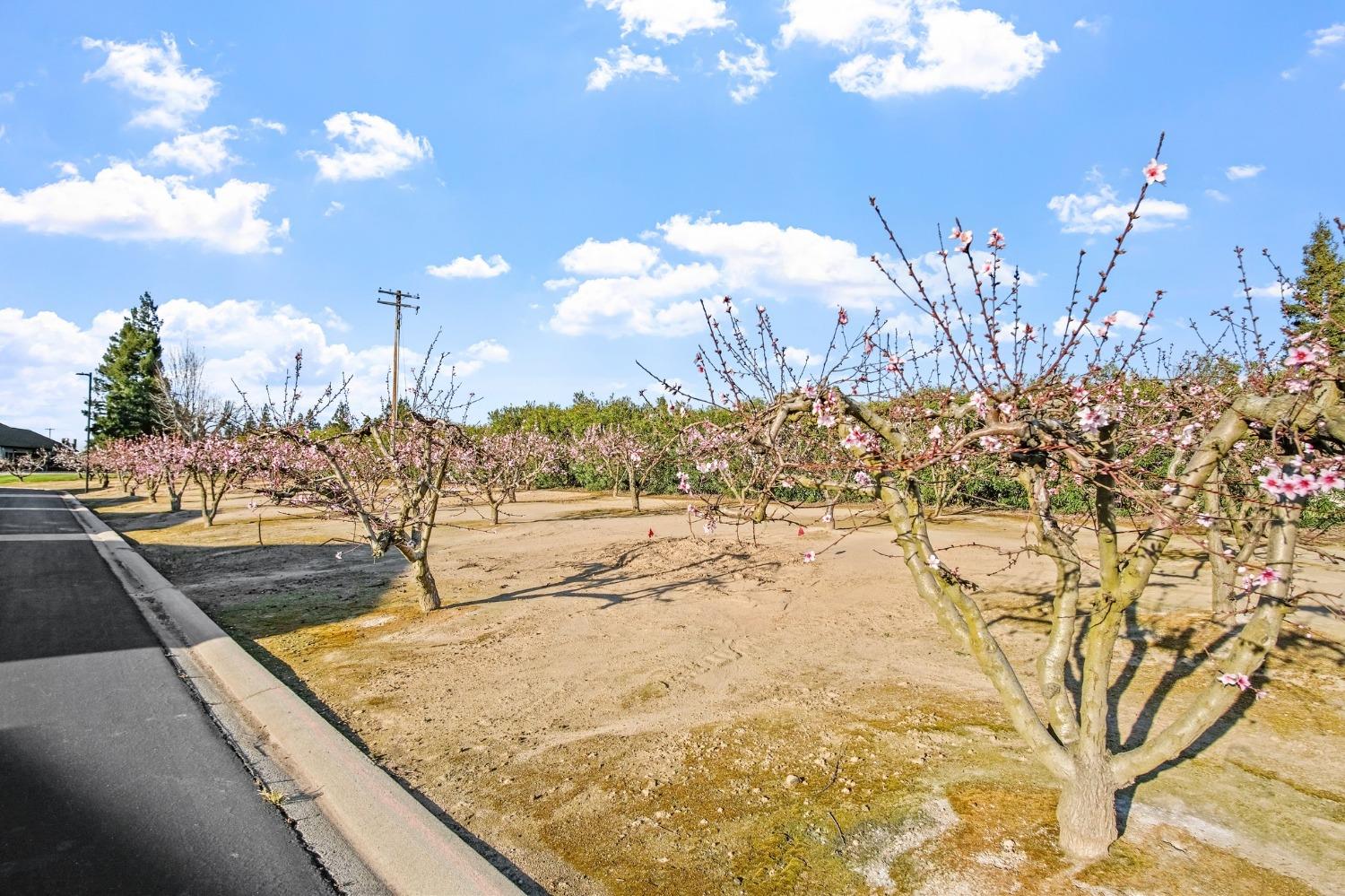 1500 Held Drive, Unit 103 Modesto, CA 95355 - Photo 28 of 28