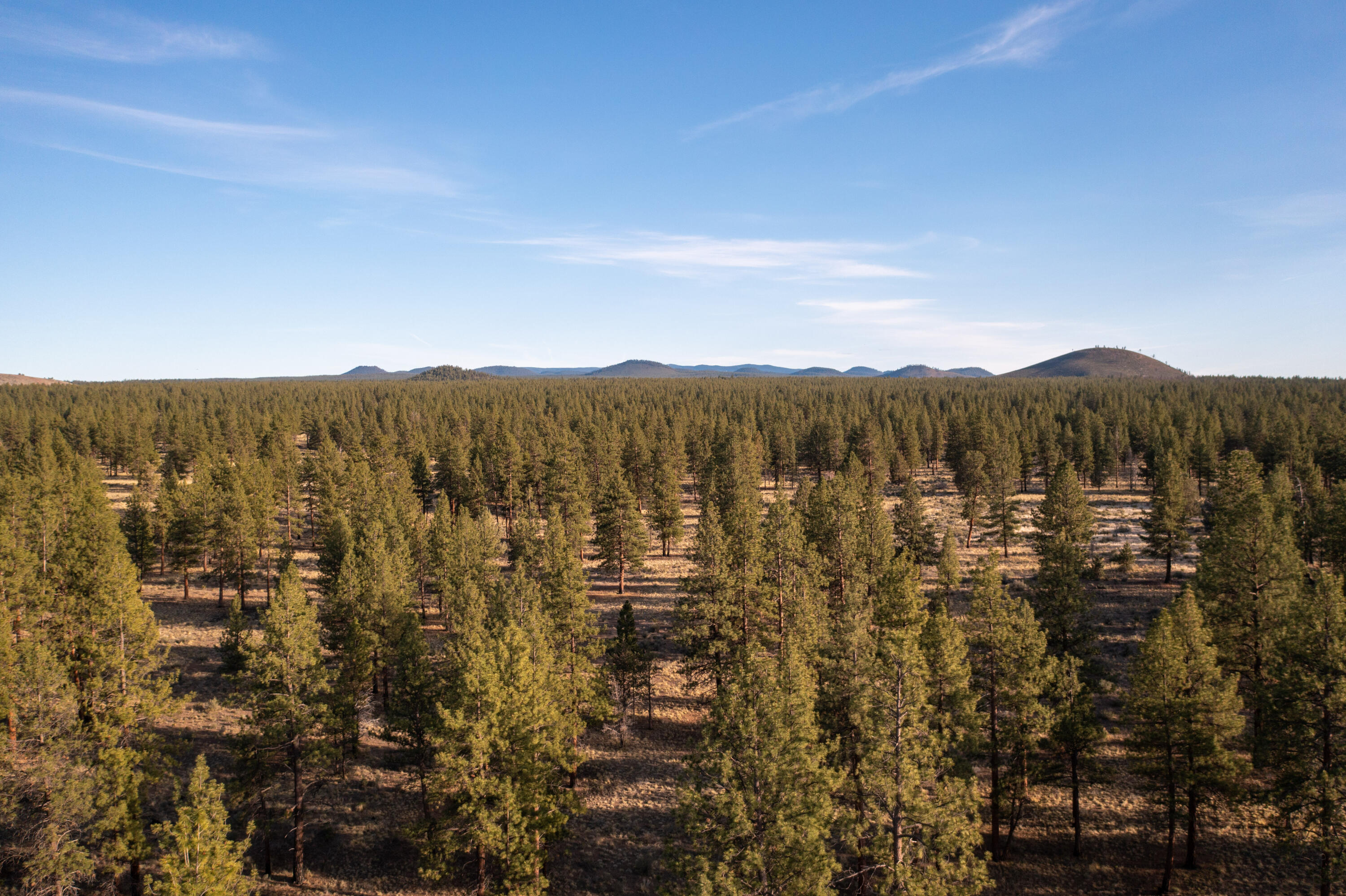 60260 Nighthawk Road Bend, OR 97702 - Photo 32 of 51 31DJI_0694