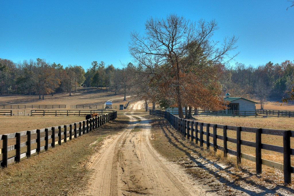 448 Long Cane Road Williston, SC 29853 - Photo 7 of 53