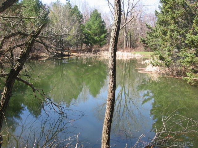6680 Holverson Road Carsonville, MI 48419 - Photo 36 of 52 31238470-35.JPG