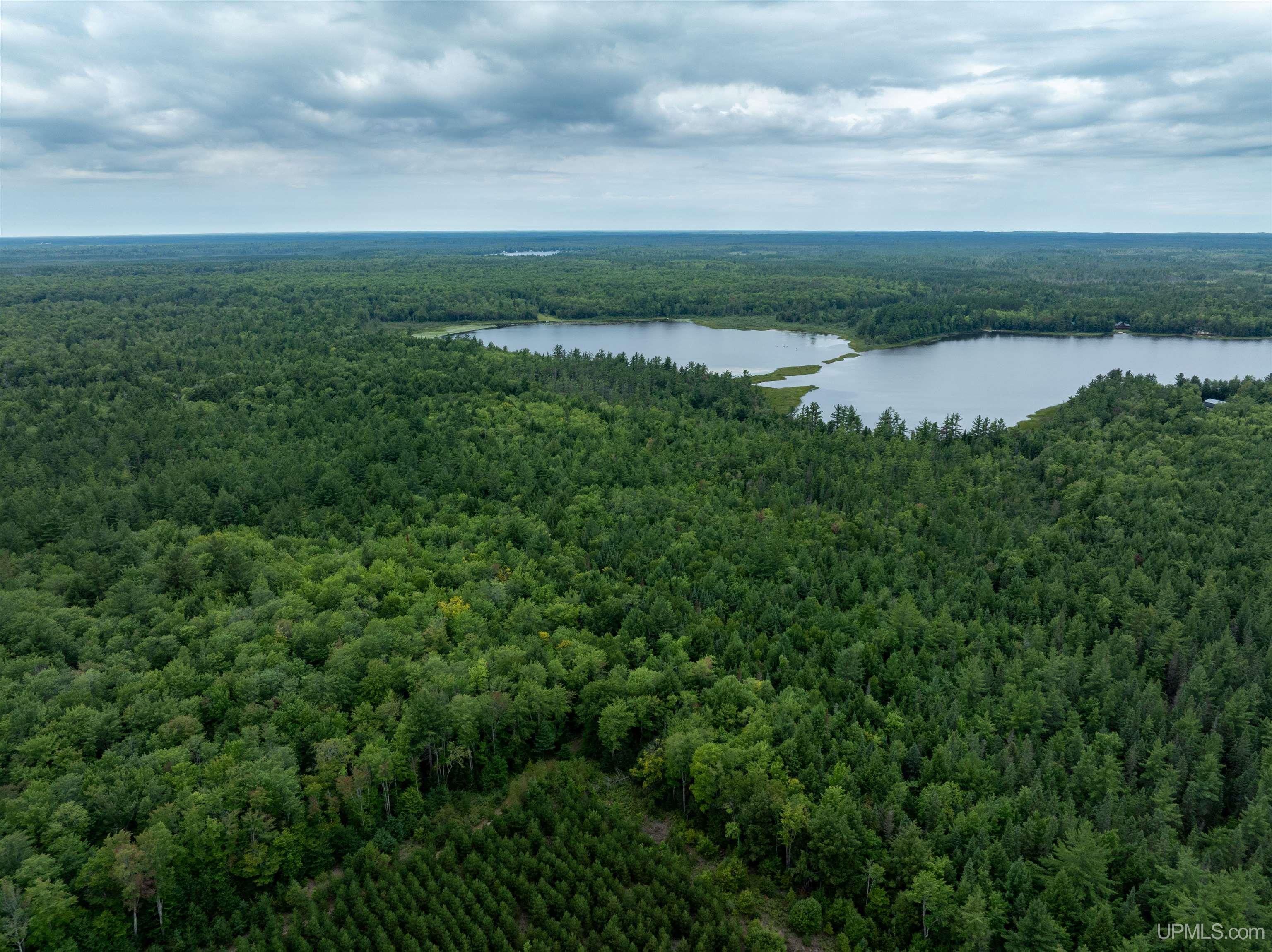 Tbd Round Lake Road Munising, MI 49862 - Photo 4 of 13