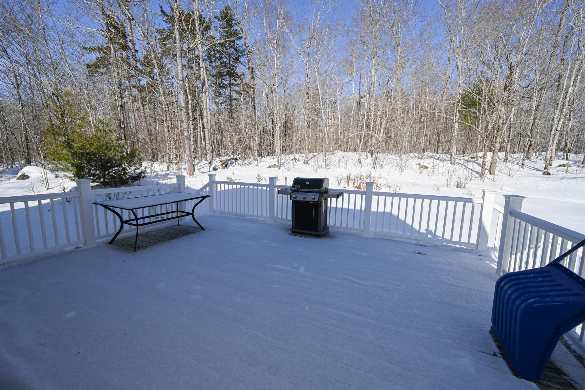 358 Peakes Hill Road Dedham, ME 04429 - Photo 21 of 24 Deck