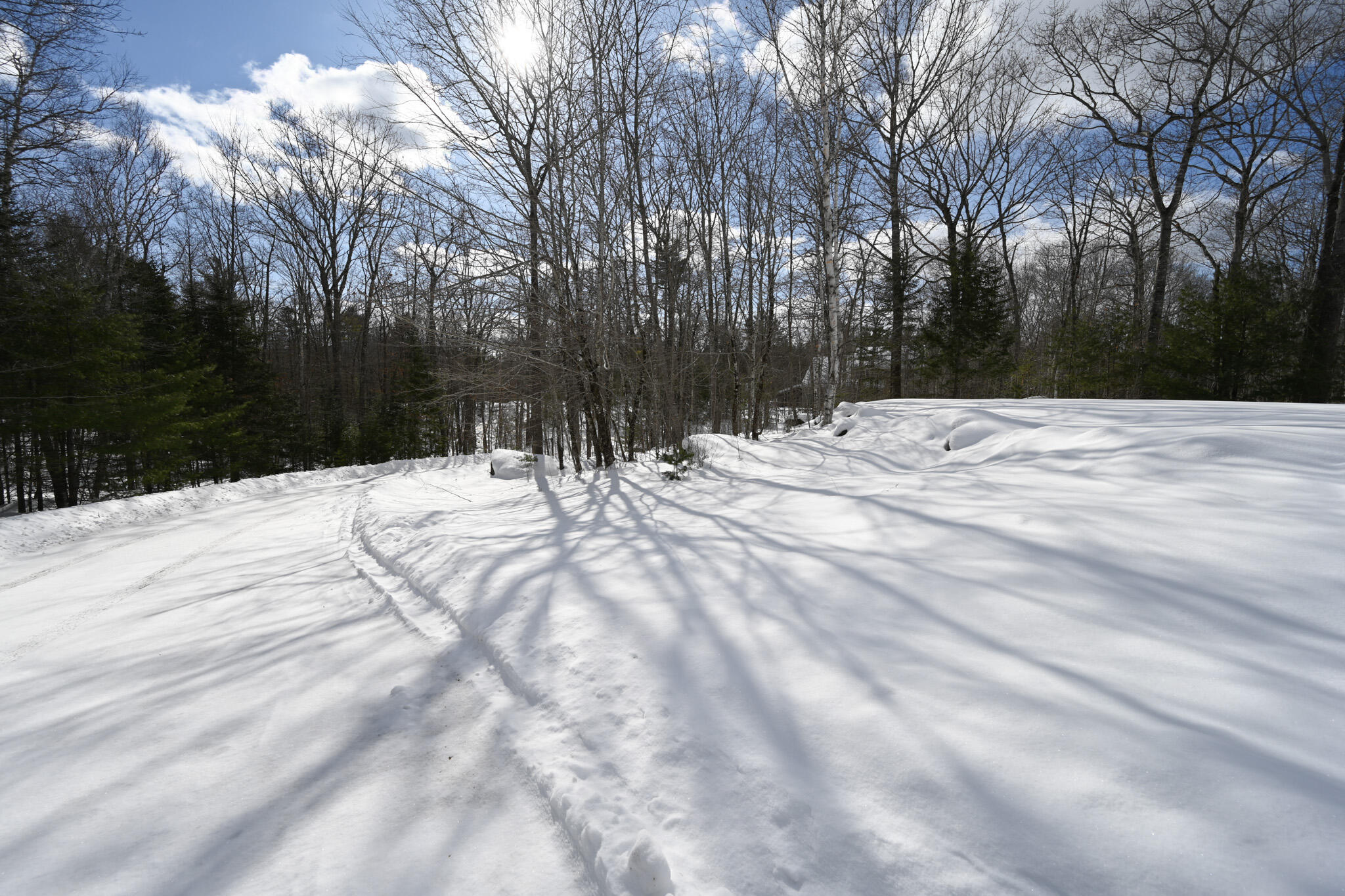 358 Peakes Hill Road Dedham, ME 04429 - Photo 22 of 24 Driveway and Front Yard