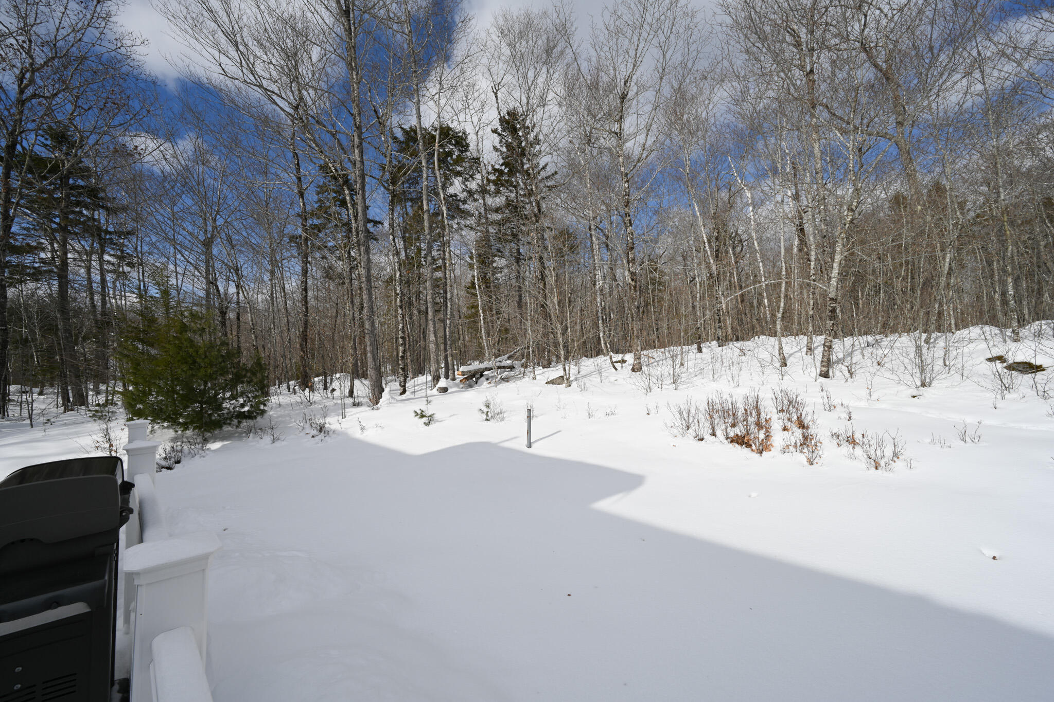 358 Peakes Hill Road Dedham, ME 04429 - Photo 24 of 24 Back Yard