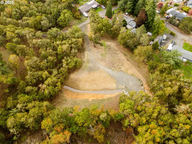 $225,000 | 800 Southeast 5th Street, Oakland, OR 97462