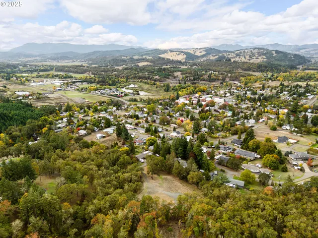 $225,000 | 800 Southeast 5th Street, Oakland, OR 97462