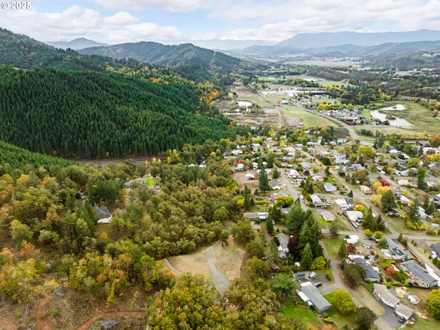 $225,000 | 800 Southeast 5th Street, Oakland, OR 97462