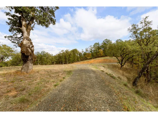 $225,000 | 800 Southeast 5th Street, Oakland, OR 97462