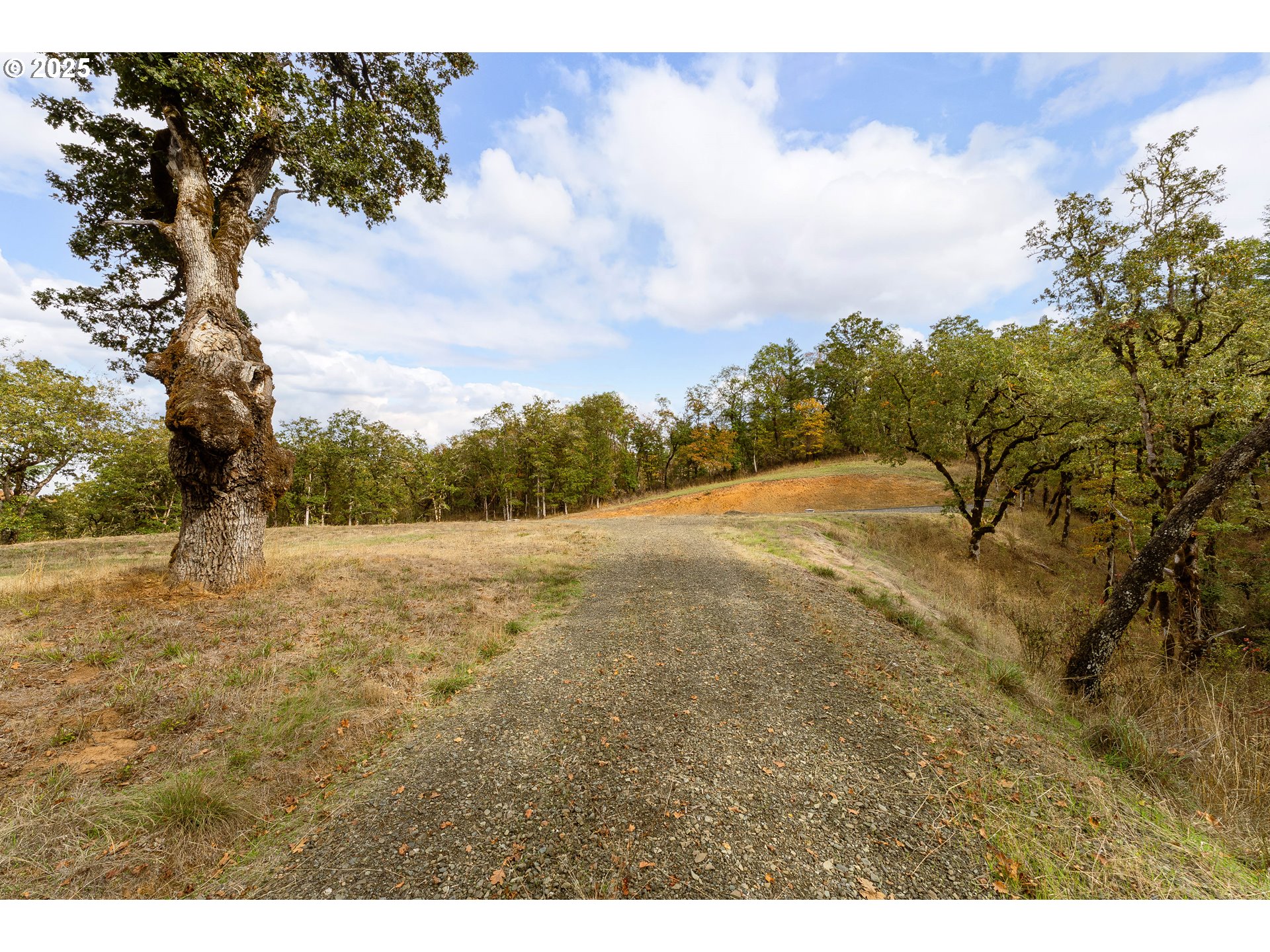 800 Southeast 5th Street Oakland, OR 97462 - Photo 3 of 20