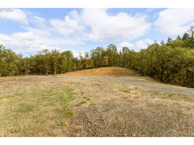 $225,000 | 800 Southeast 5th Street, Oakland, OR 97462