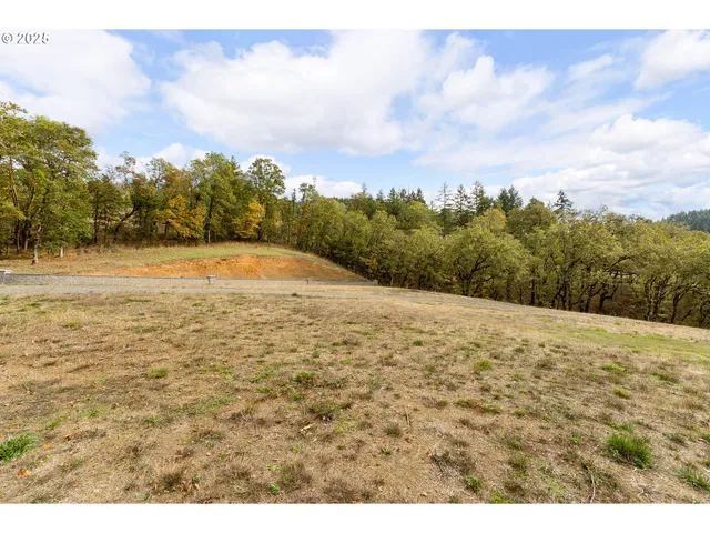 $225,000 | 800 Southeast 5th Street, Oakland, OR 97462