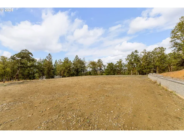 $225,000 | 800 Southeast 5th Street, Oakland, OR 97462