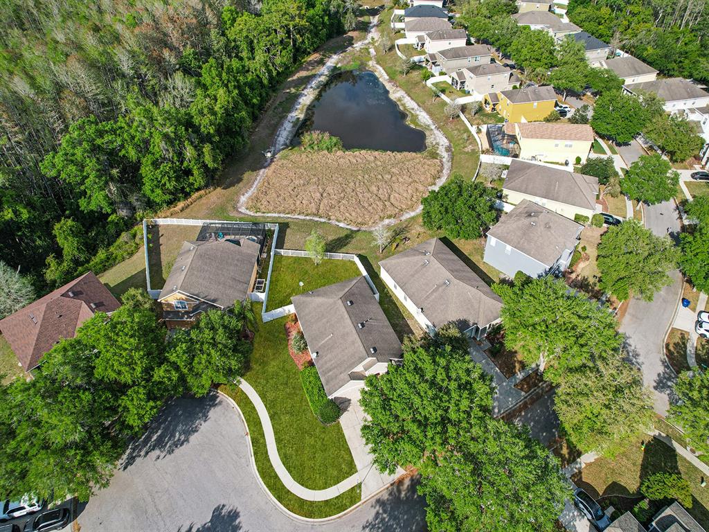 11713 Colony Lakes Boulevard New Port Richey, FL 34654 - Photo 36 of 38