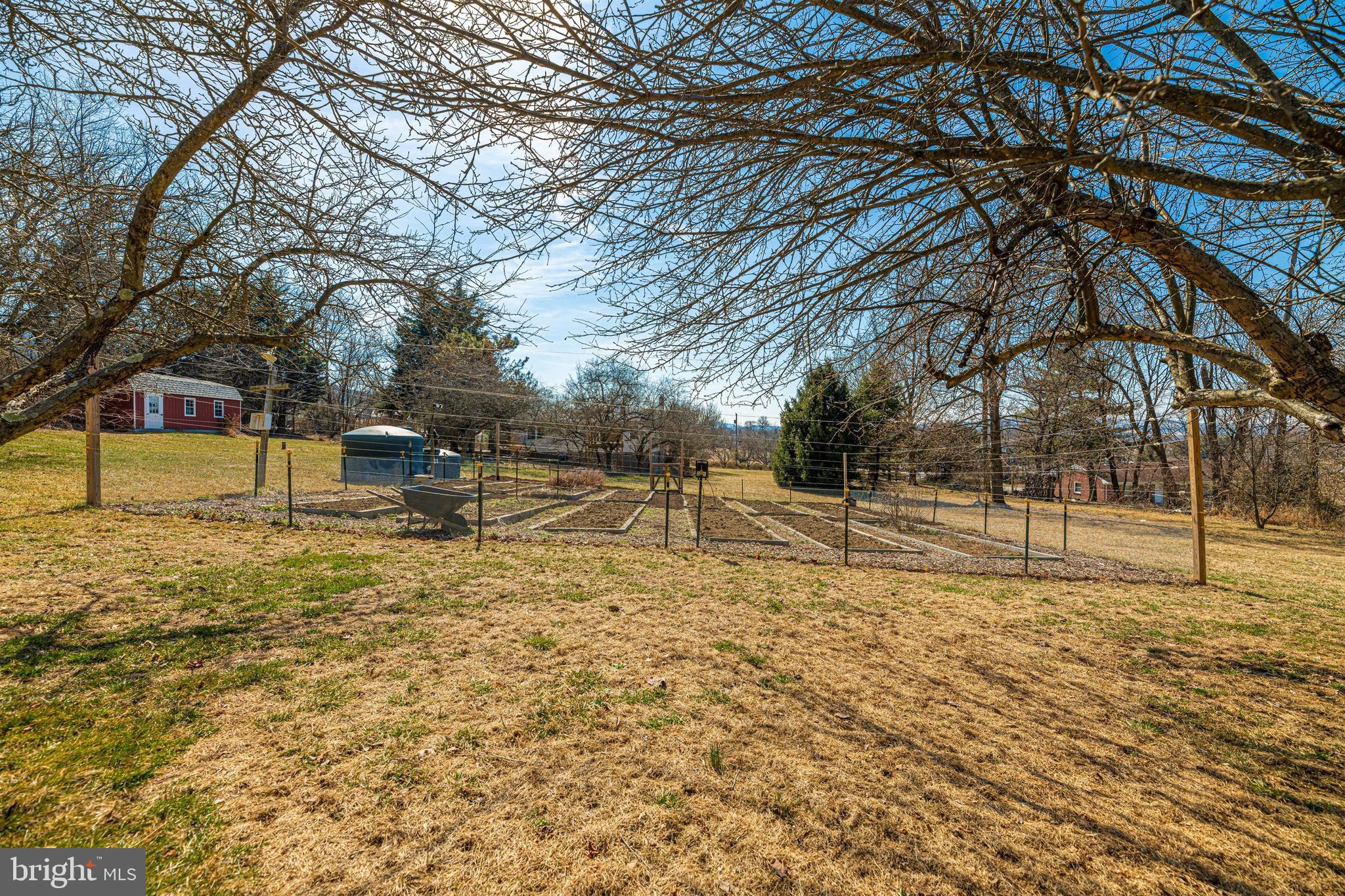 20824 Netz Road Boonsboro, MD 21713 - Photo 37 of 53 a view of yard with tree