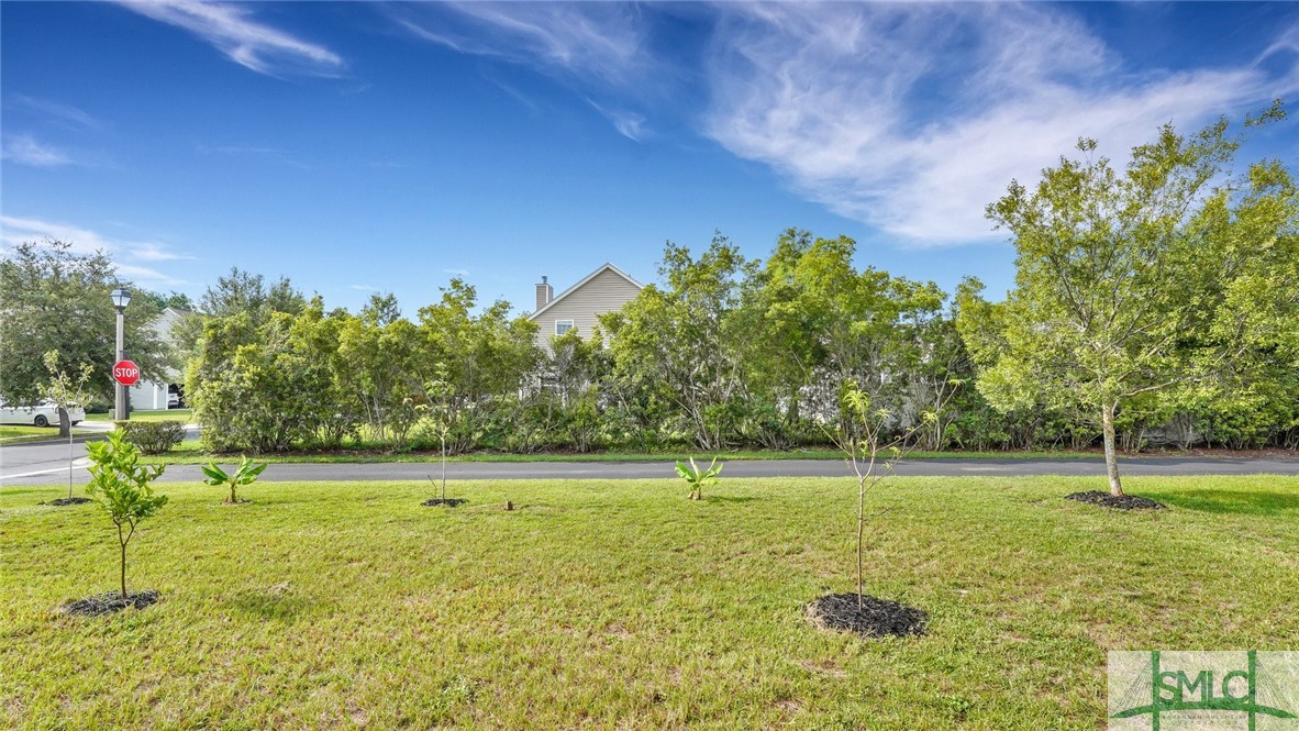 339 Hitching Post Lane Pooler, GA 31322 - Photo 39 of 46