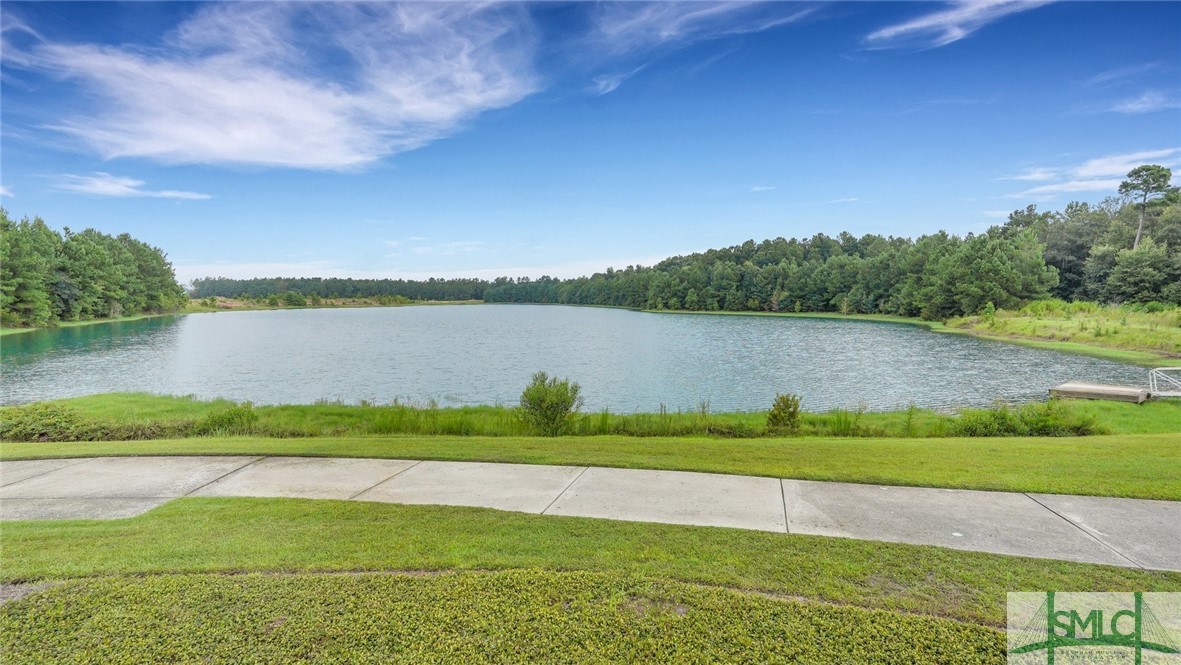 339 Hitching Post Lane Pooler, GA 31322 - Photo 46 of 46