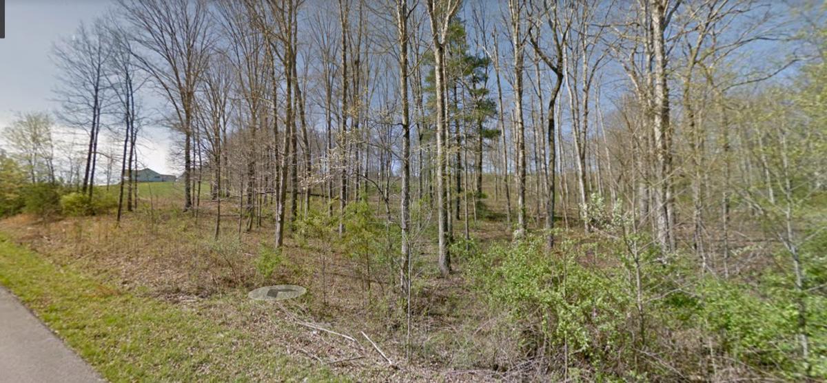 Keating Loop Crossville, TN 38555 - Photo 5 of 6 512835-4