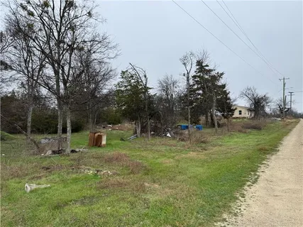 a view of a park with large trees