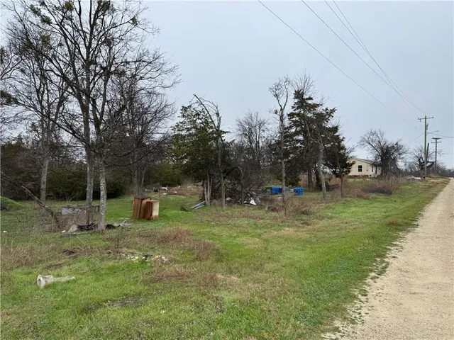 a view of a park with large trees