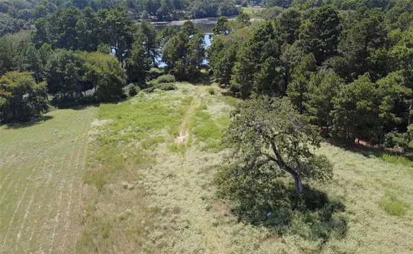 a view of a bunch of trees in a field