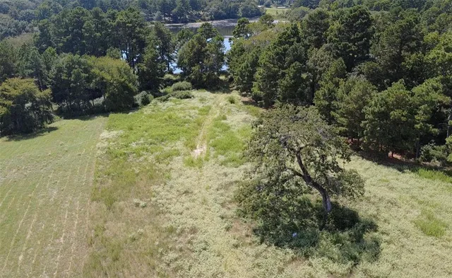 a view of a bunch of trees in a field