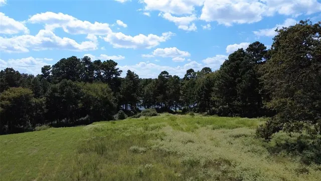 a view of a lake from a yard
