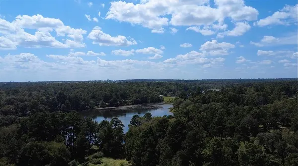 a view of a rural road with plants
