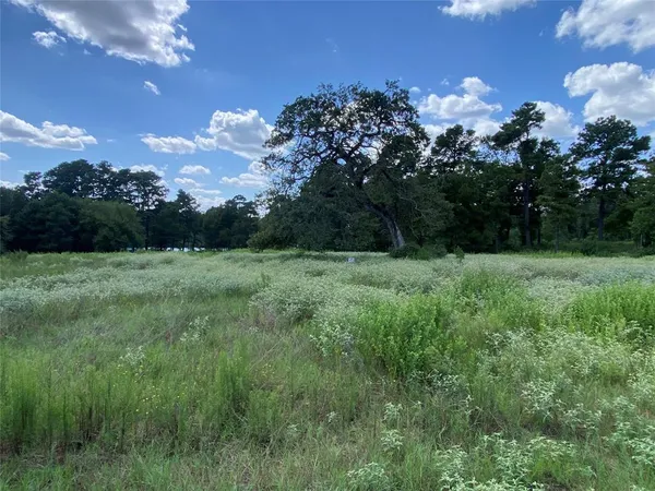 a view of kitchen with green space