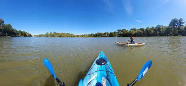 a view of small lake and trees