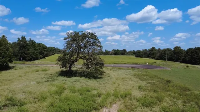 a view of a forest with a forest