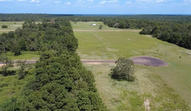a view of a yard with trees