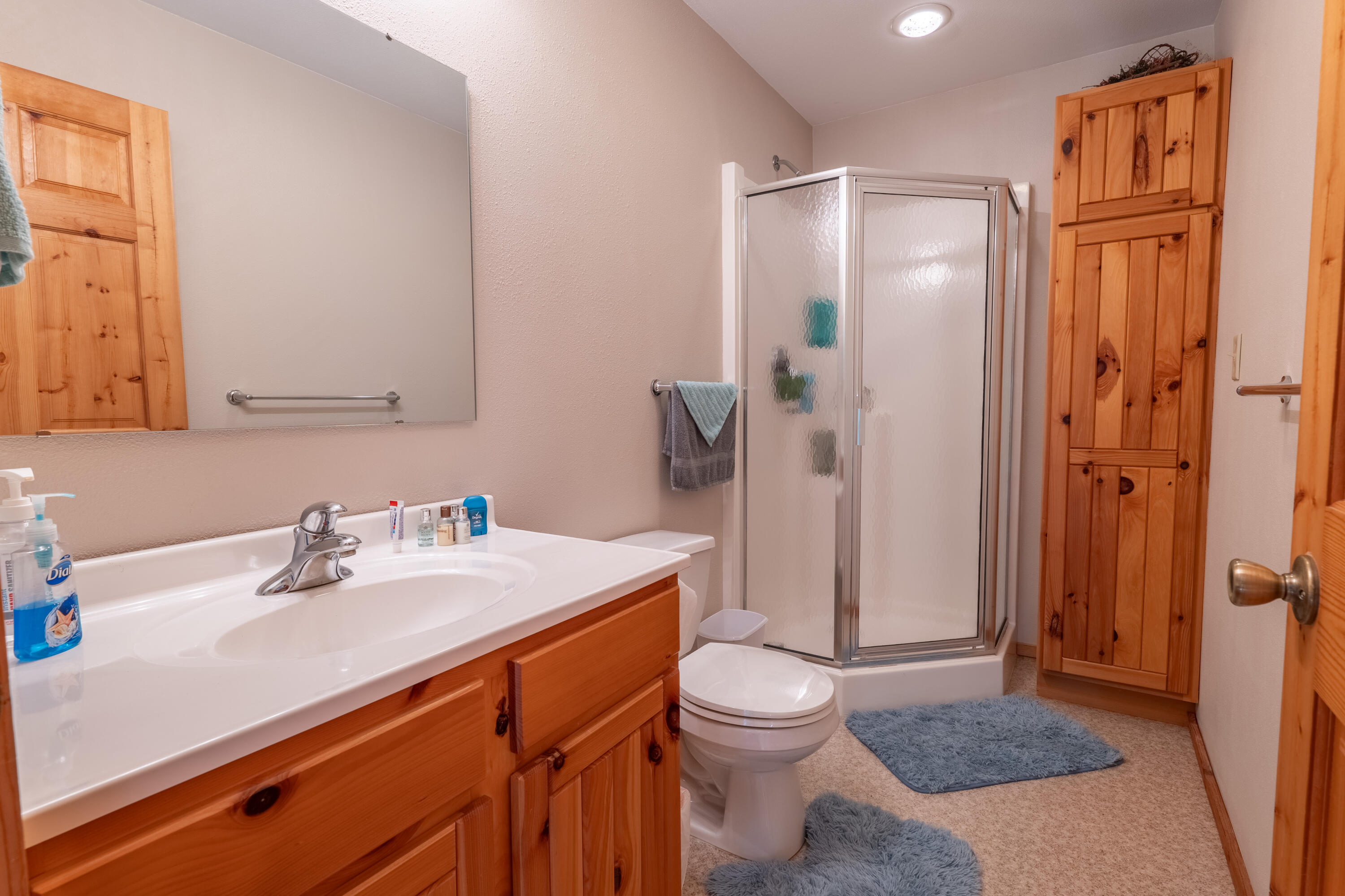 N627 Riviera Avenue Dewhurst, WI 54754 - Photo 20 of 39 P1004975-HDR