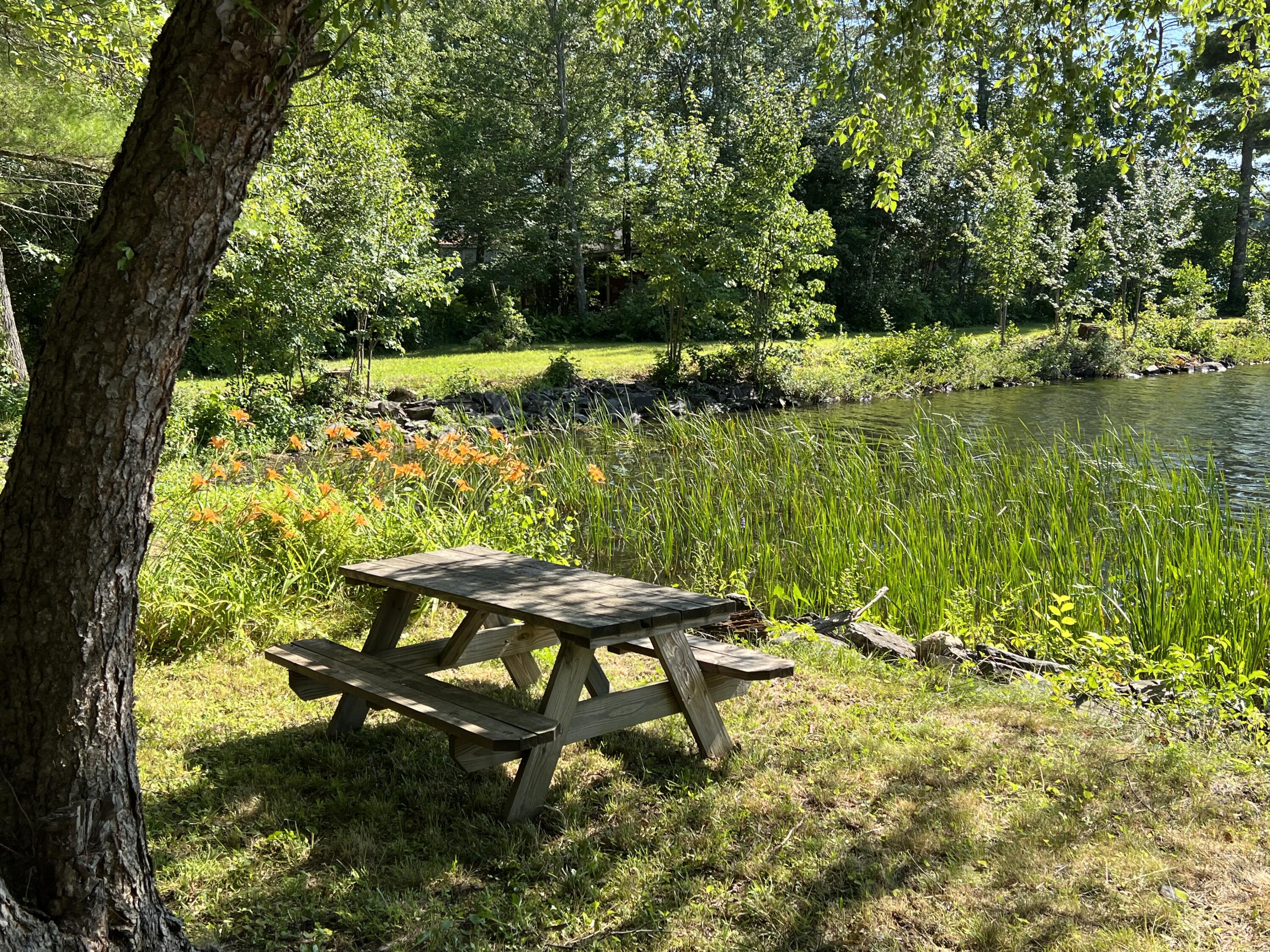 57 Welch Point Road Winthrop, ME 04364 - Photo 50 of 85 IMG_5307