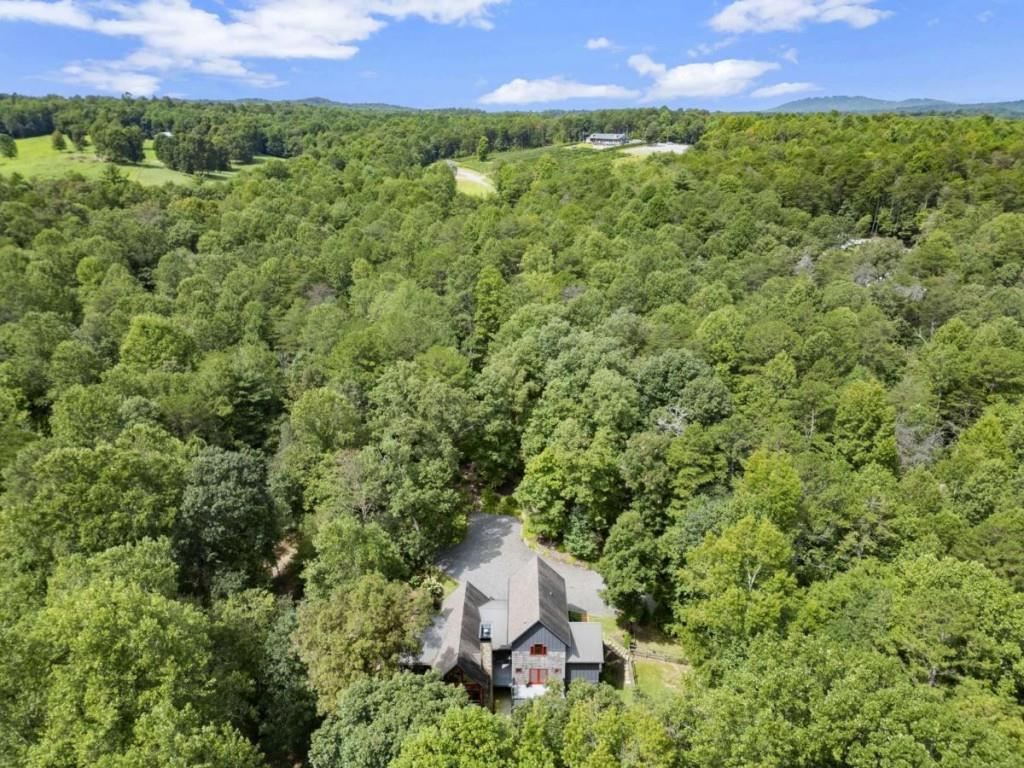 530 Burleson Road Ellijay, GA 30536 - Photo 78 of 82