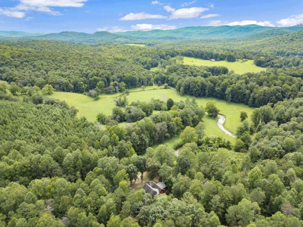 530 Burleson Road Ellijay, GA 30536 - Photo 79 of 82