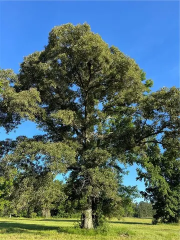 $102,750 | Undisclosed Address, Roseland, LA 70456