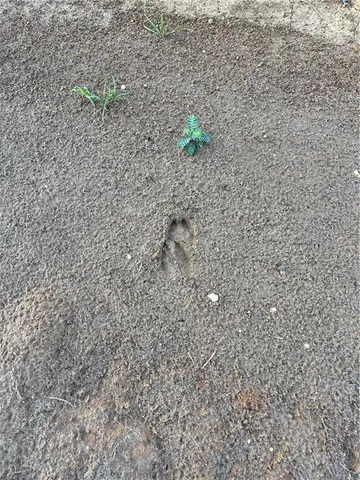 $102,750 | Undisclosed Address, Roseland, LA 70456