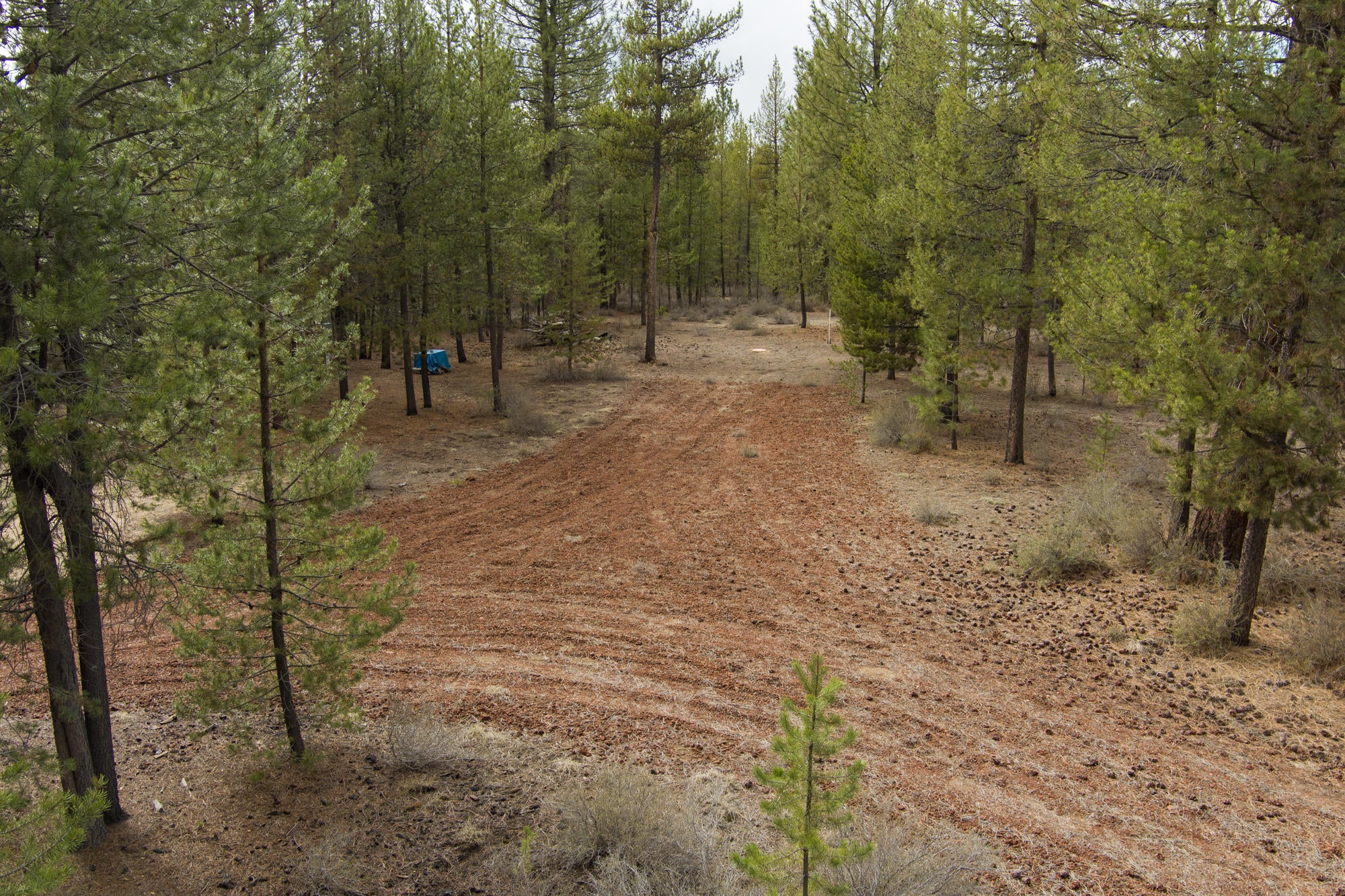 1200-lot Gracies Road Gilchrist, OR 97737 - Photo 4 of 15 1200 Lot Gracies Rd_ (5)