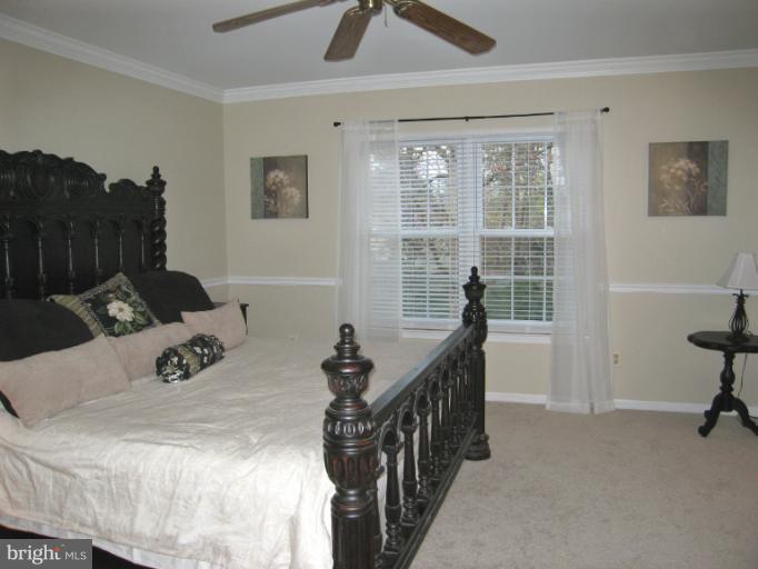 100 Seneca Ridge Drive Sterling, VA 20164 - Photo 3 of 7 Bedroom (Master)