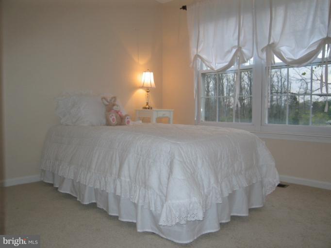 100 Seneca Ridge Drive Sterling, VA 20164 - Photo 5 of 7 Bedroom